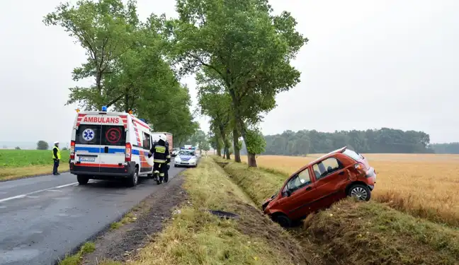 Bolec.Info - zdjęcie