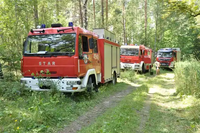 Bolec.Info - zdjęcie