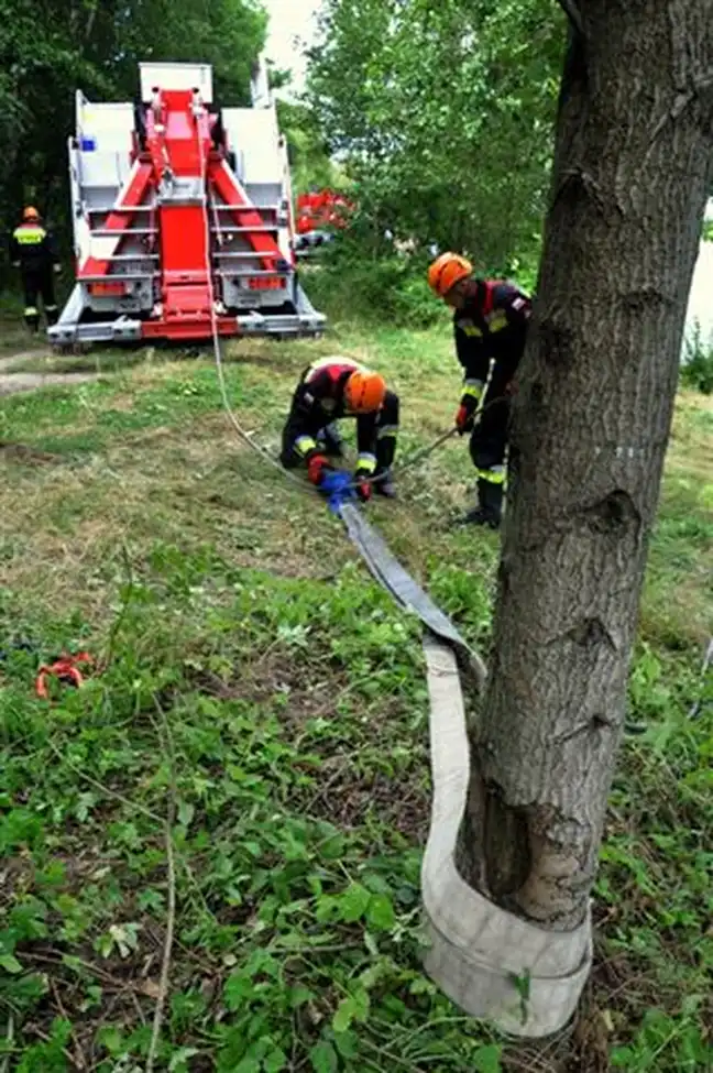 Bolec.Info - zdjęcie