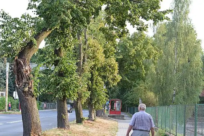 Bolec.Info - zdjęcie