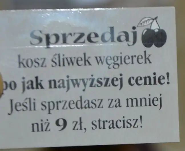 Bolec.Info - zdjęcie