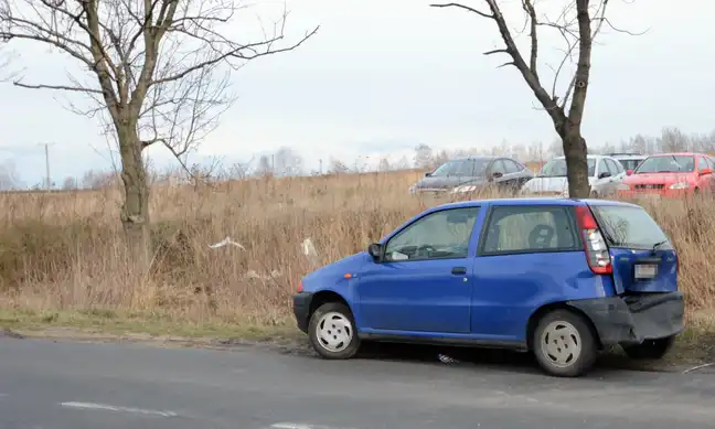 Bolec.Info - zdjęcie