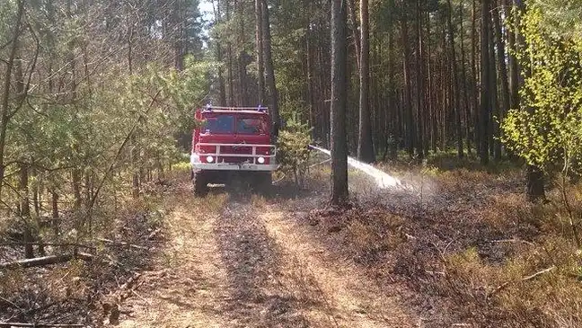 Bolec.Info - zdjęcie