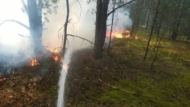 Bolec.Info - zdjęcie