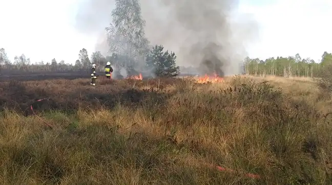 Bolec.Info - zdjęcie