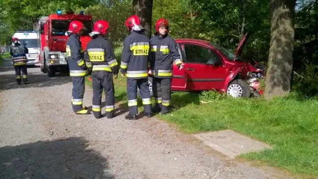 Bolec.Info - zdjęcie