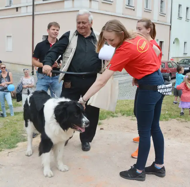 Bolec.Info - zdjęcie