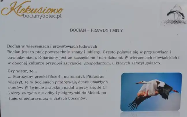 Bolec.Info - zdjęcie