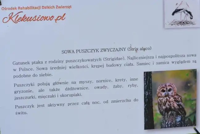 Bolec.Info - zdjęcie