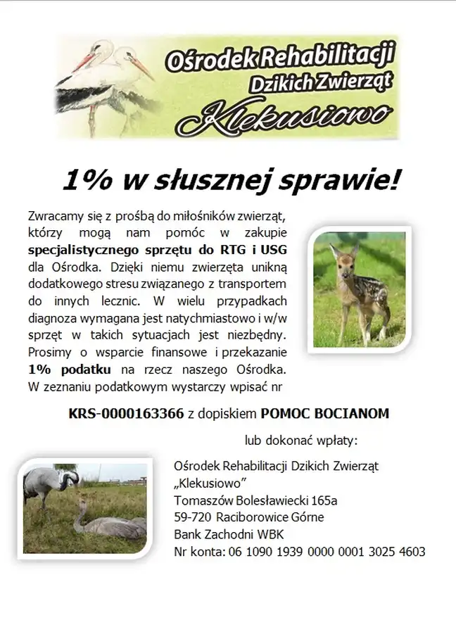 Bolec.Info - zdjęcie