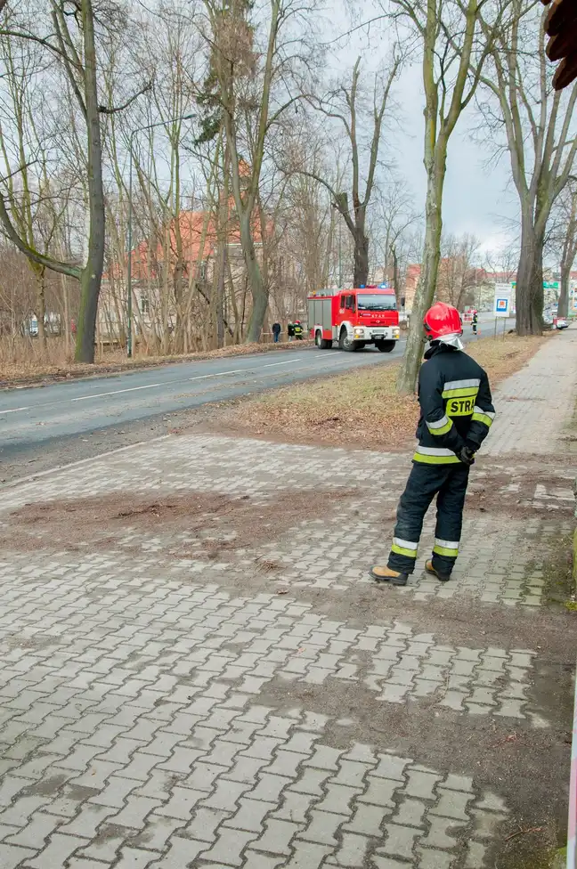 Bolec.Info - zdjęcie