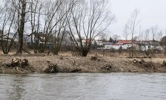 Bolec.Info - zdjęcie