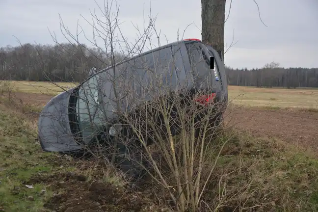 Bolec.Info - zdjęcie