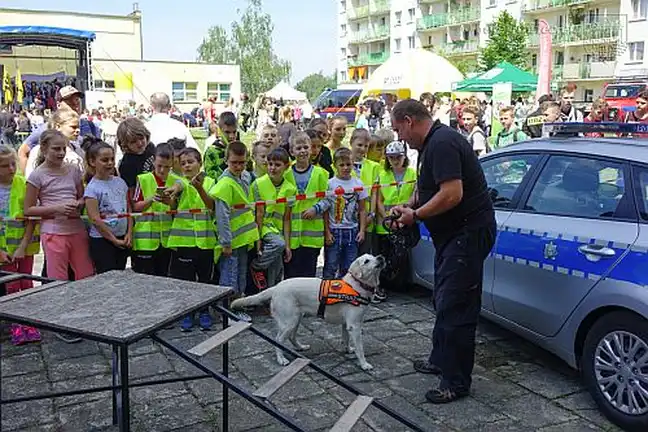 Bolec.Info - zdjęcie