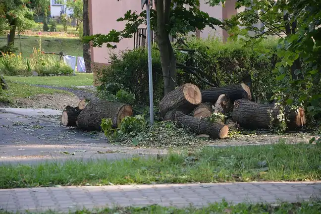 Bolec.Info - zdjęcie