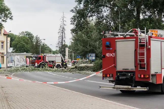 Bolec.Info - zdjęcie