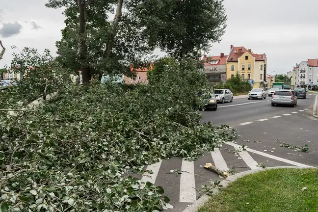 Bolec.Info - zdjęcie