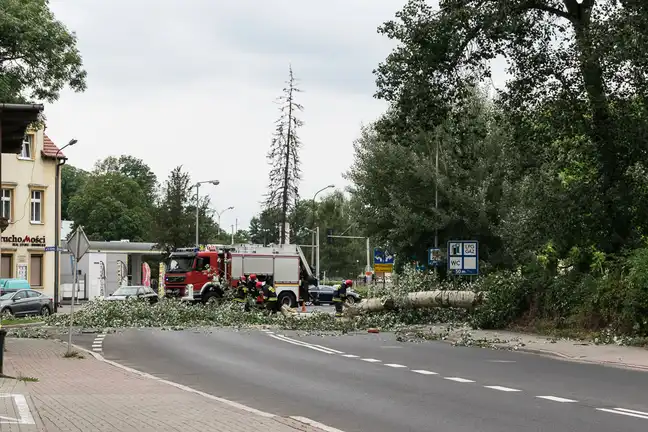 Bolec.Info - zdjęcie