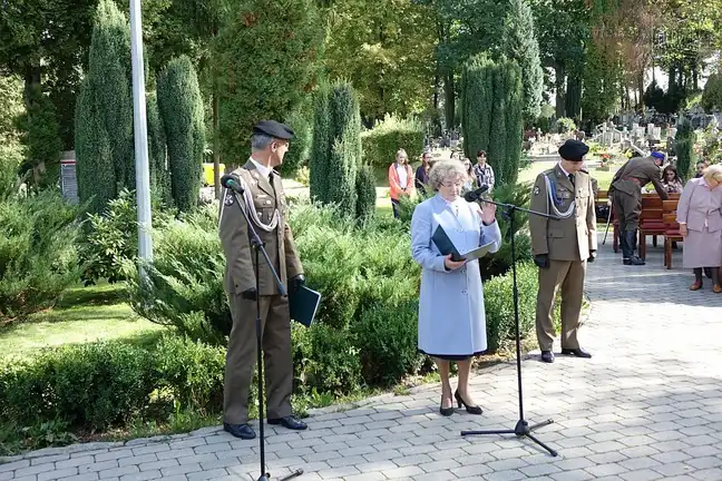 Bolec.Info - zdjęcie