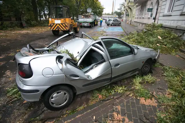 Bolec.Info - zdjęcie