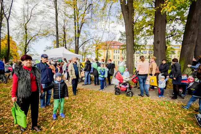 Bolec.Info - zdjęcie