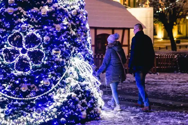 Bolec.Info - zdjęcie