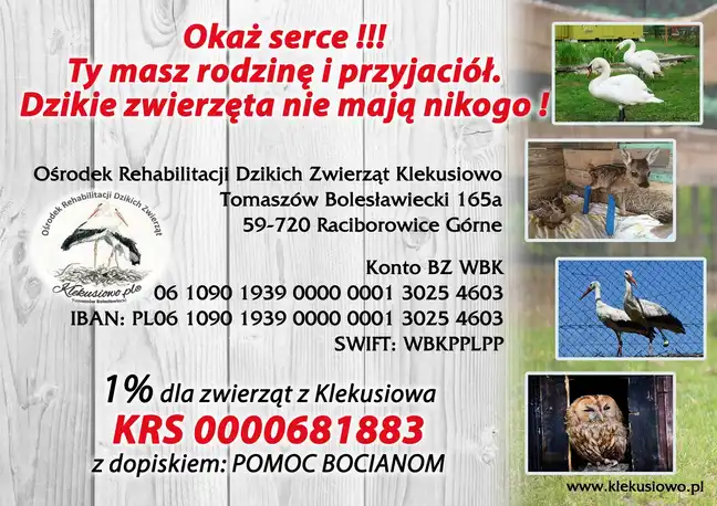 Bolec.Info - zdjęcie