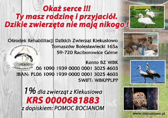 Bolec.Info - zdjęcie