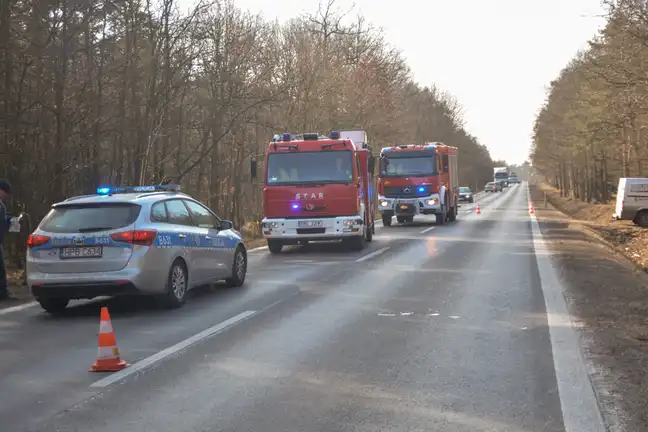 Bolec.Info - zdjęcie