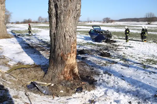 Bolec.Info - zdjęcie