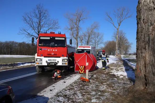 Bolec.Info - zdjęcie