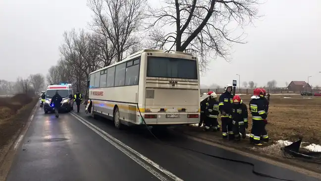 Bolec.Info - zdjęcie