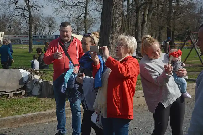 Bolec.Info - zdjęcie