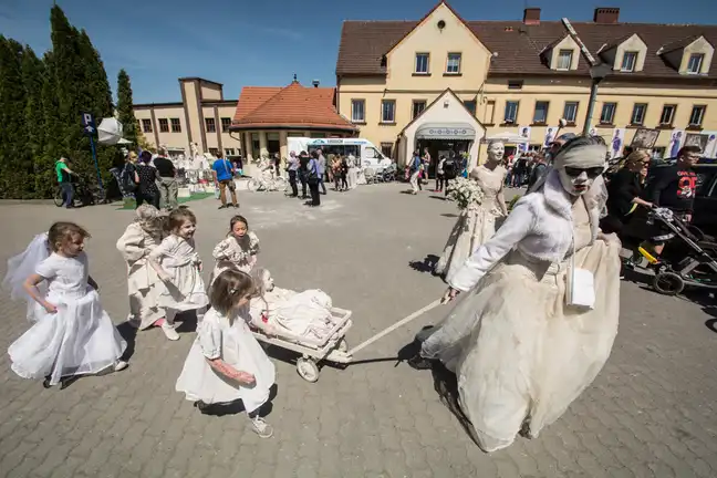 Bolec.Info - zdjęcie