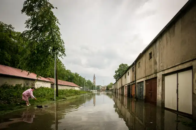 Bolec.Info - zdjęcie