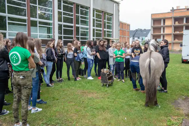 Bolec.Info - zdjęcie