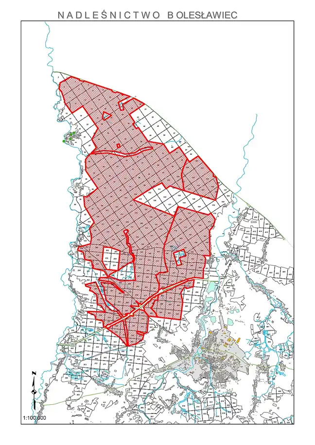 Bolec.Info - zdjęcie