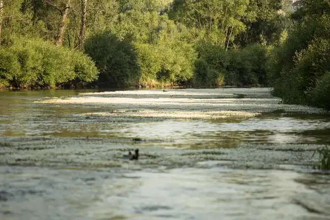 Bolec.Info - zdjęcie