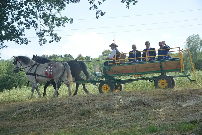 Bolec.Info - zdjęcie