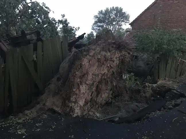 Bolec.Info - zdjęcie