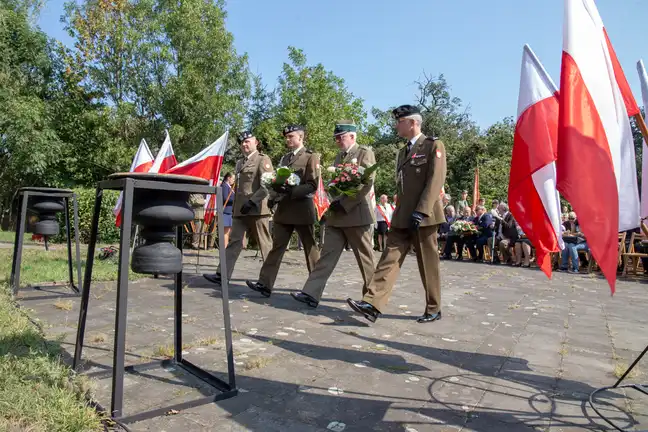 Bolec.Info - zdjęcie