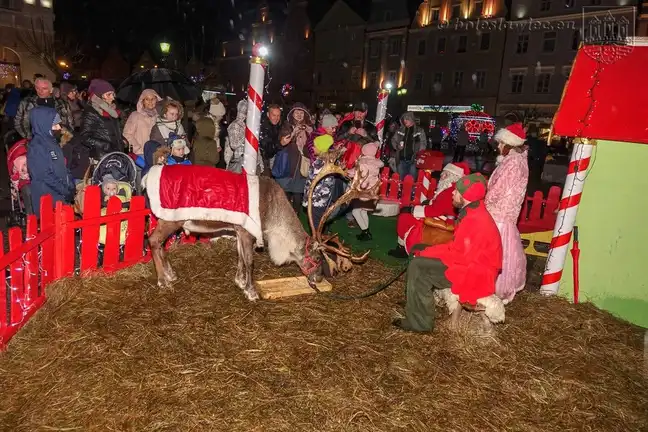 Bolec.Info - zdjęcie