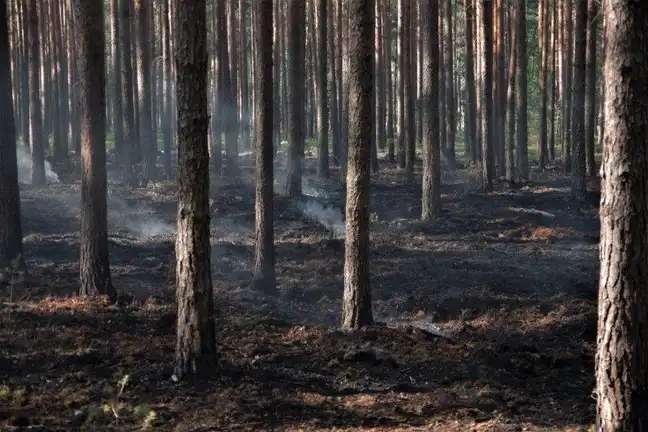 Bolec.Info - zdjęcie