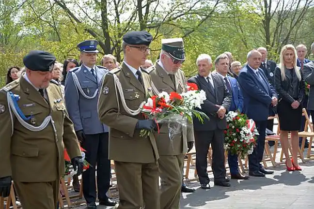 Bolec.Info - zdjęcie