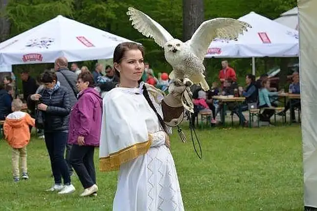 Bolec.Info - zdjęcie