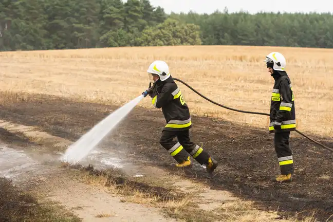 Bolec.Info - zdjęcie