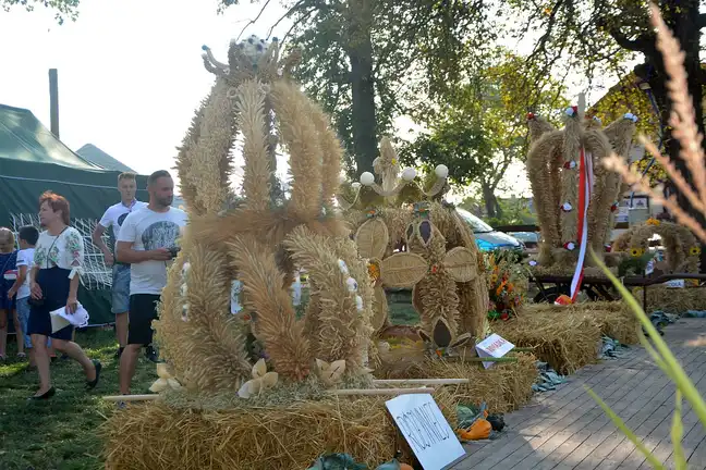 Bolec.Info - zdjęcie