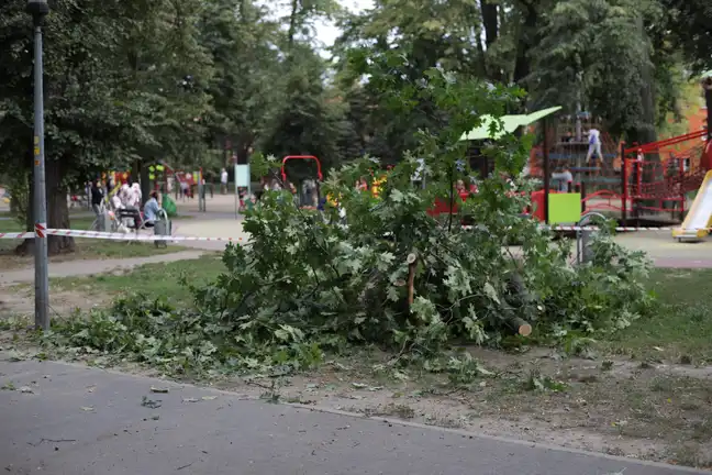 Bolec.Info - zdjęcie