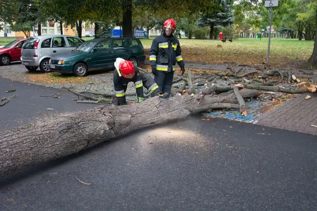 Bolec.Info - zdjęcie