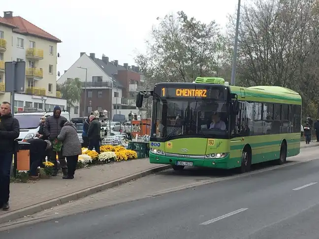 Bolec.Info - zdjęcie